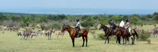 South Africa-Waterberg-Waterberg Safari Lodge